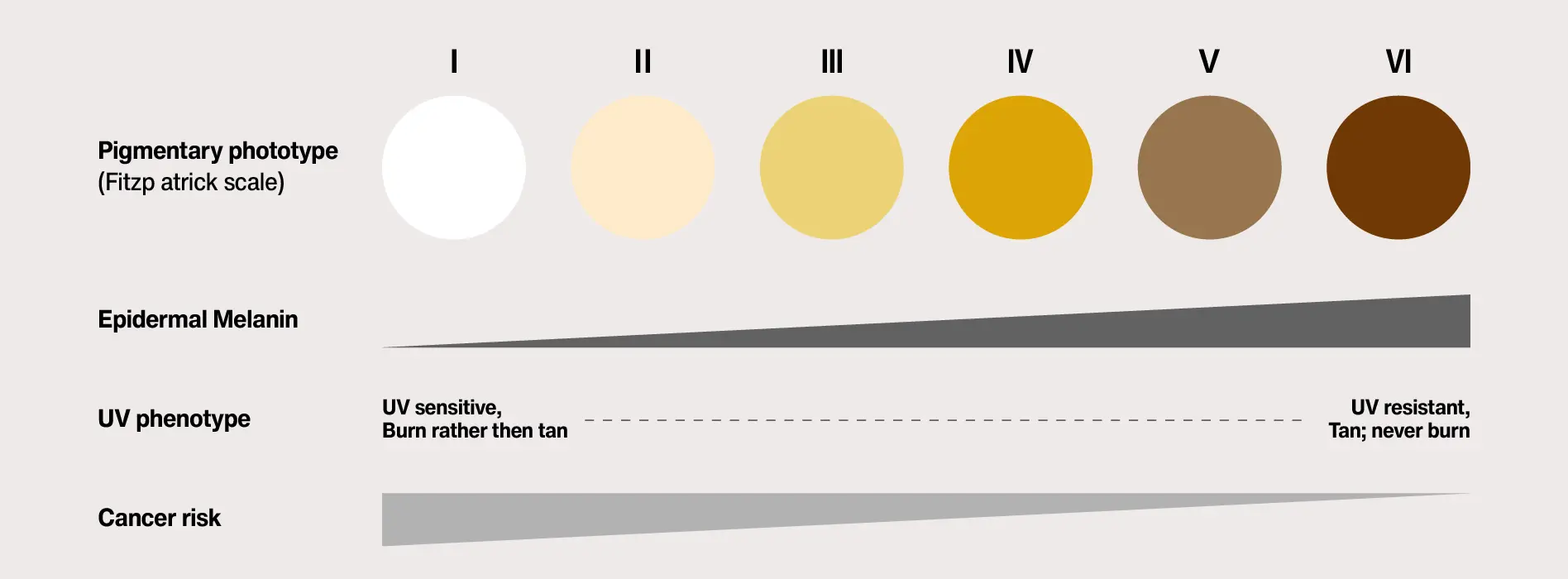 フィッツパトリック・スキンタイプ